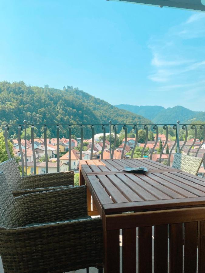 Vila Maister Celje Extérieur photo