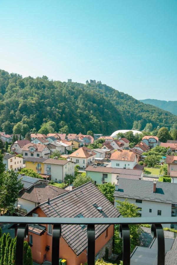 Vila Maister Celje Extérieur photo