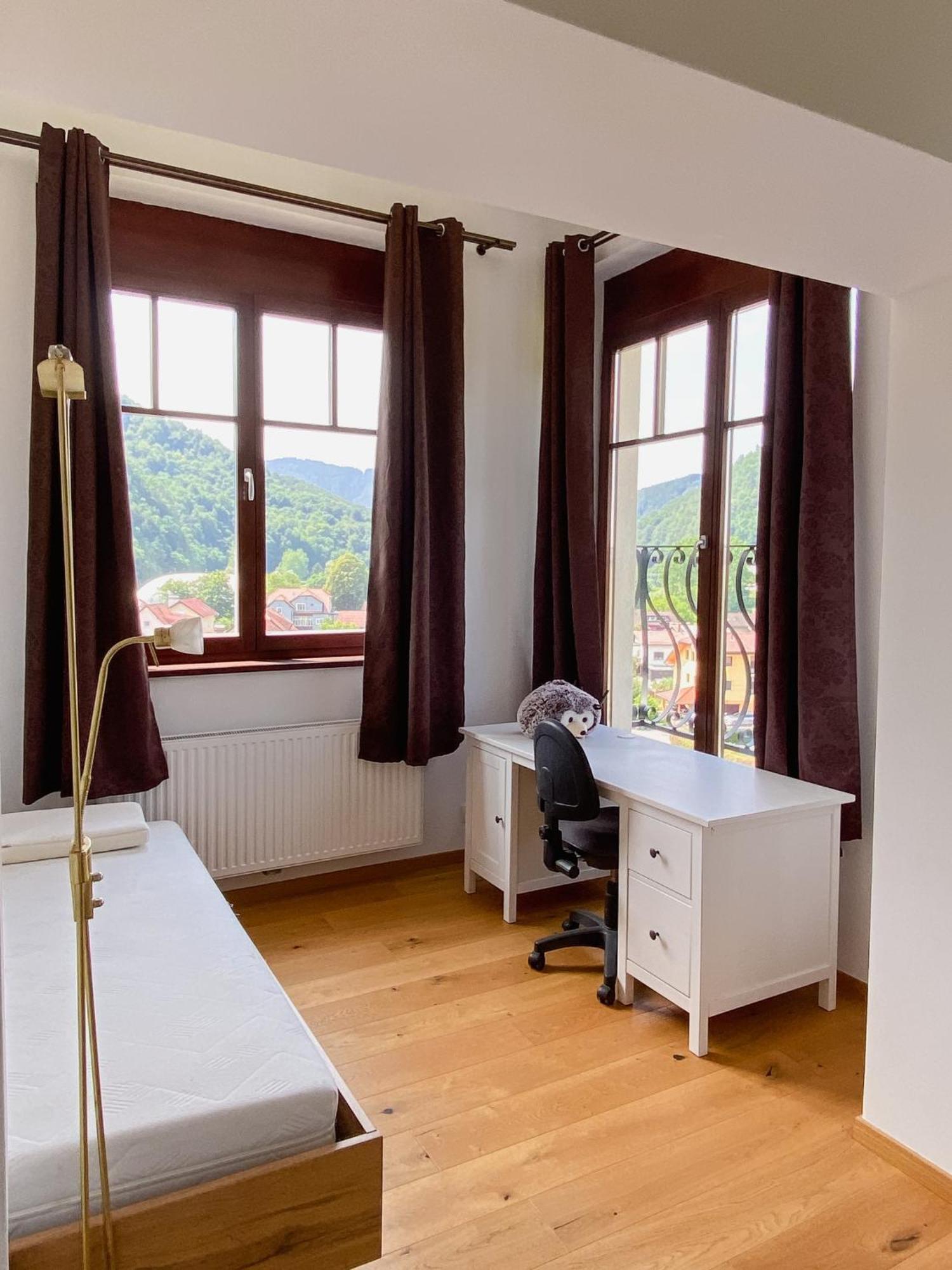 Vila Maister Celje Extérieur photo