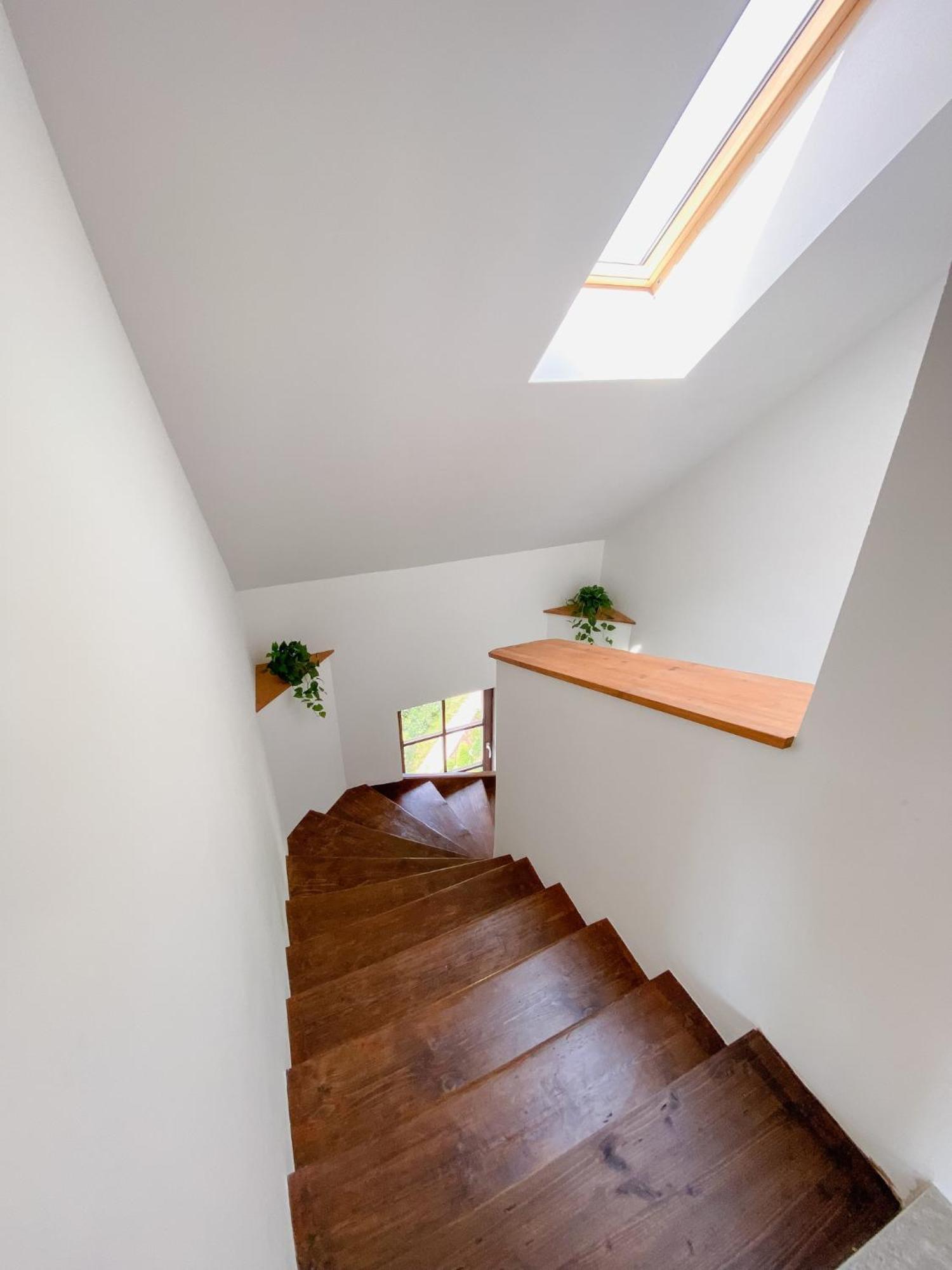 Vila Maister Celje Extérieur photo